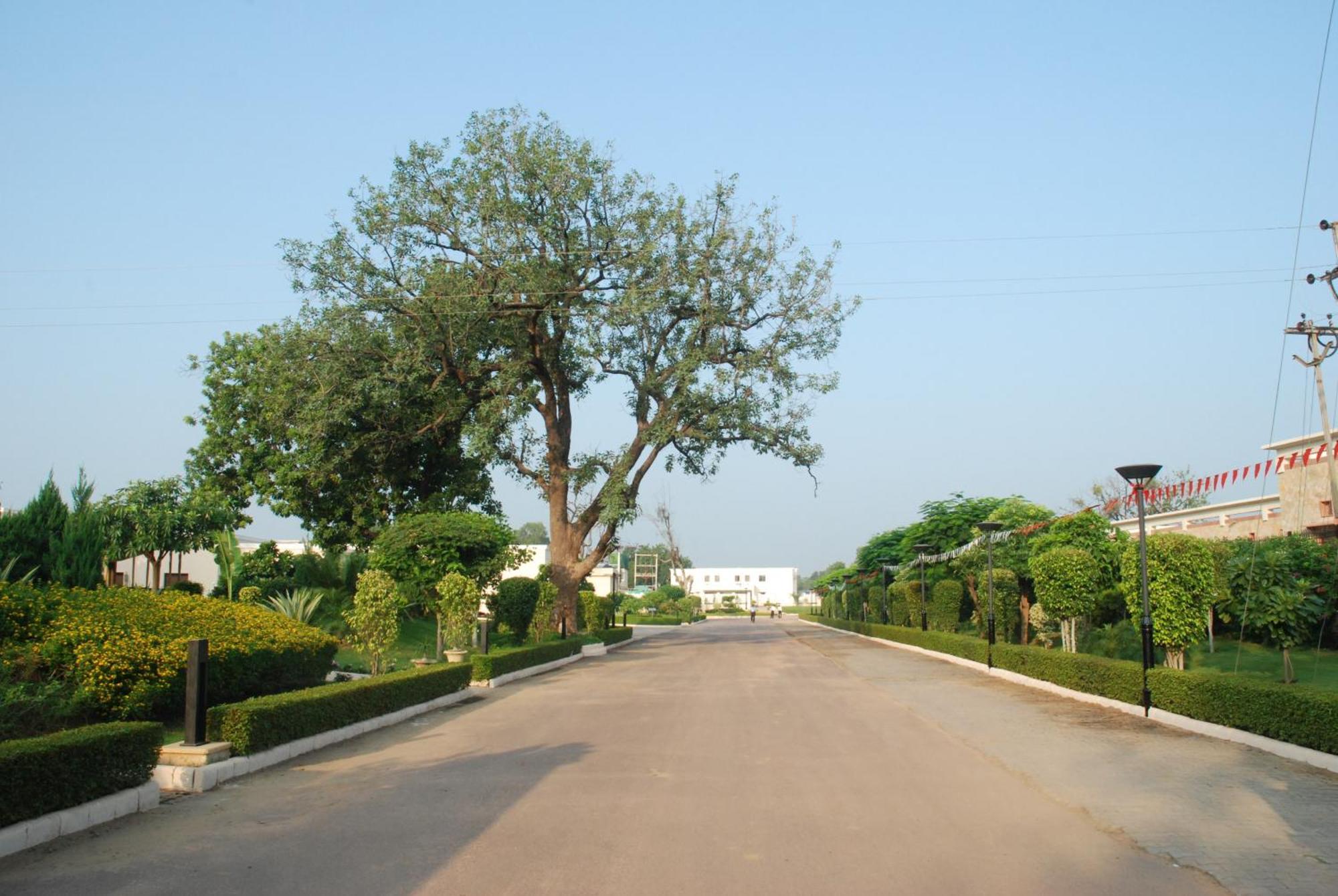 The Lalit Temple View Ξενοδοχείο Κχατζουράχο Εξωτερικό φωτογραφία